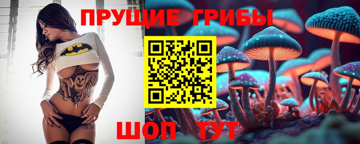 Псилоцибиновые грибы мухоморы  Псилоцибиновые грибы GOLDEN TEACHER  Гай  Вход с VPN 